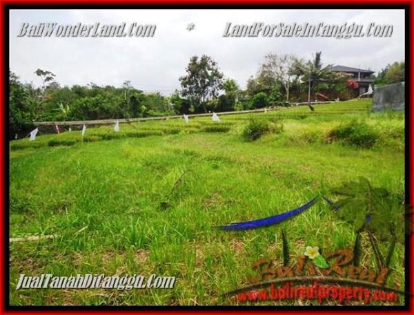 TANAH MURAH di CANGGU JUAL 1.000 m2 View Sawah dan sungai , lingkungan villa